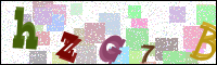 Image Verification