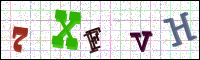 Image Verification